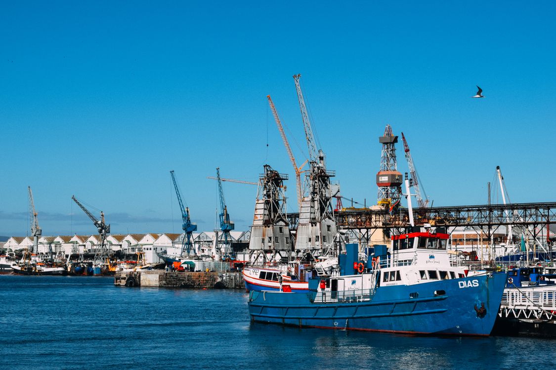 Busy commercial seaport with cargo cranes handling freight